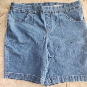 R15 Terra & Sky jean shorts